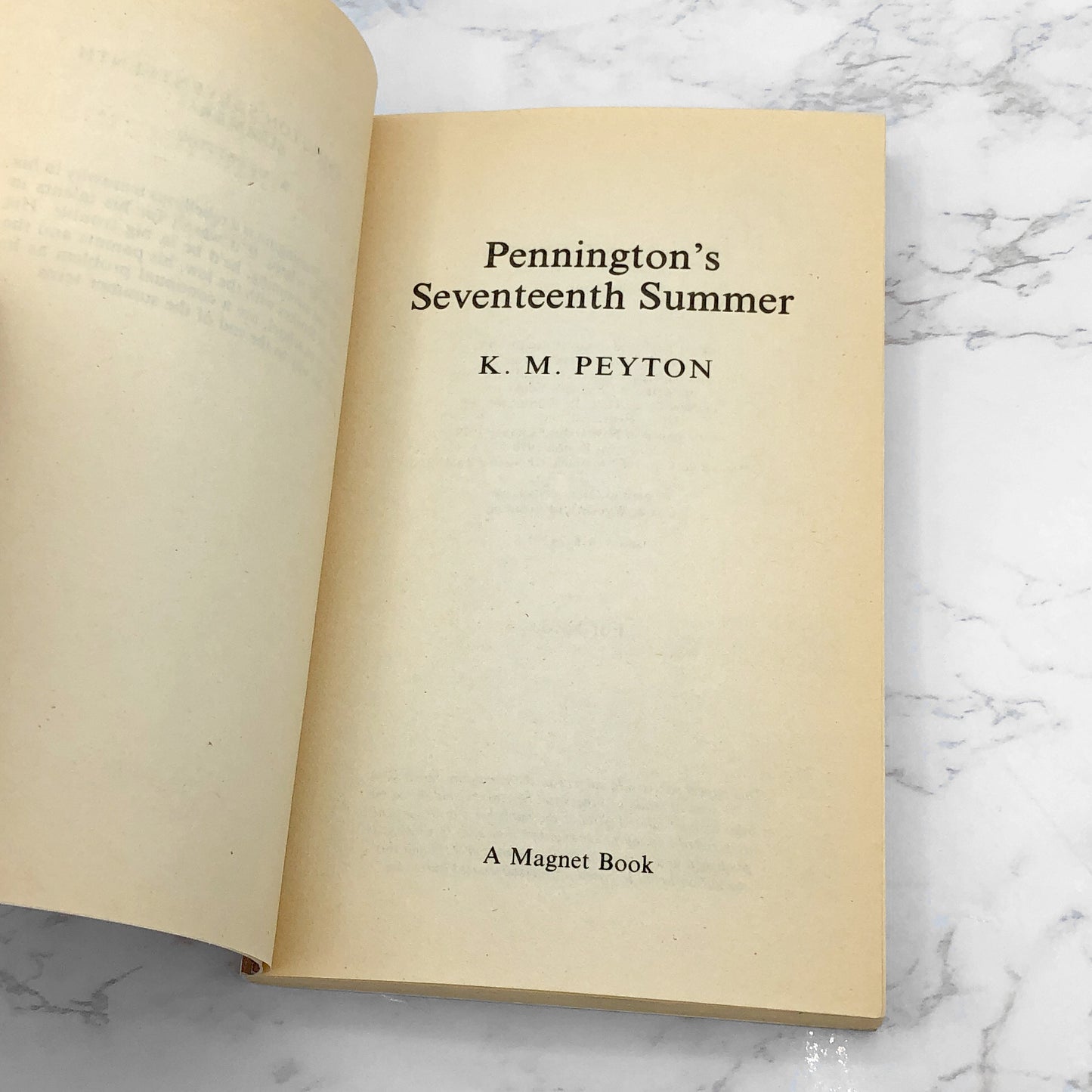 Pennington's Seventeenth Summer by K.M. Peyton [U.K. PAPERBACK] 1983 • Magnet