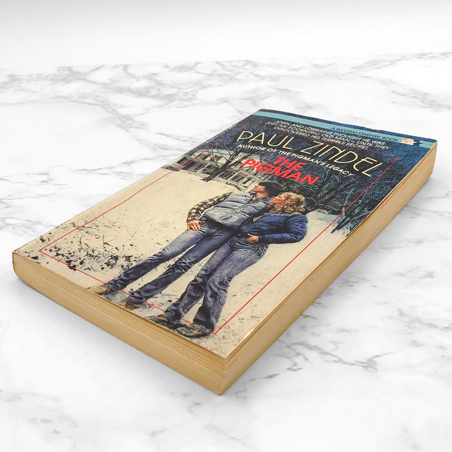 The Pigman by Paul Zindel [1984 PAPERBACK] • Bantam Starfire