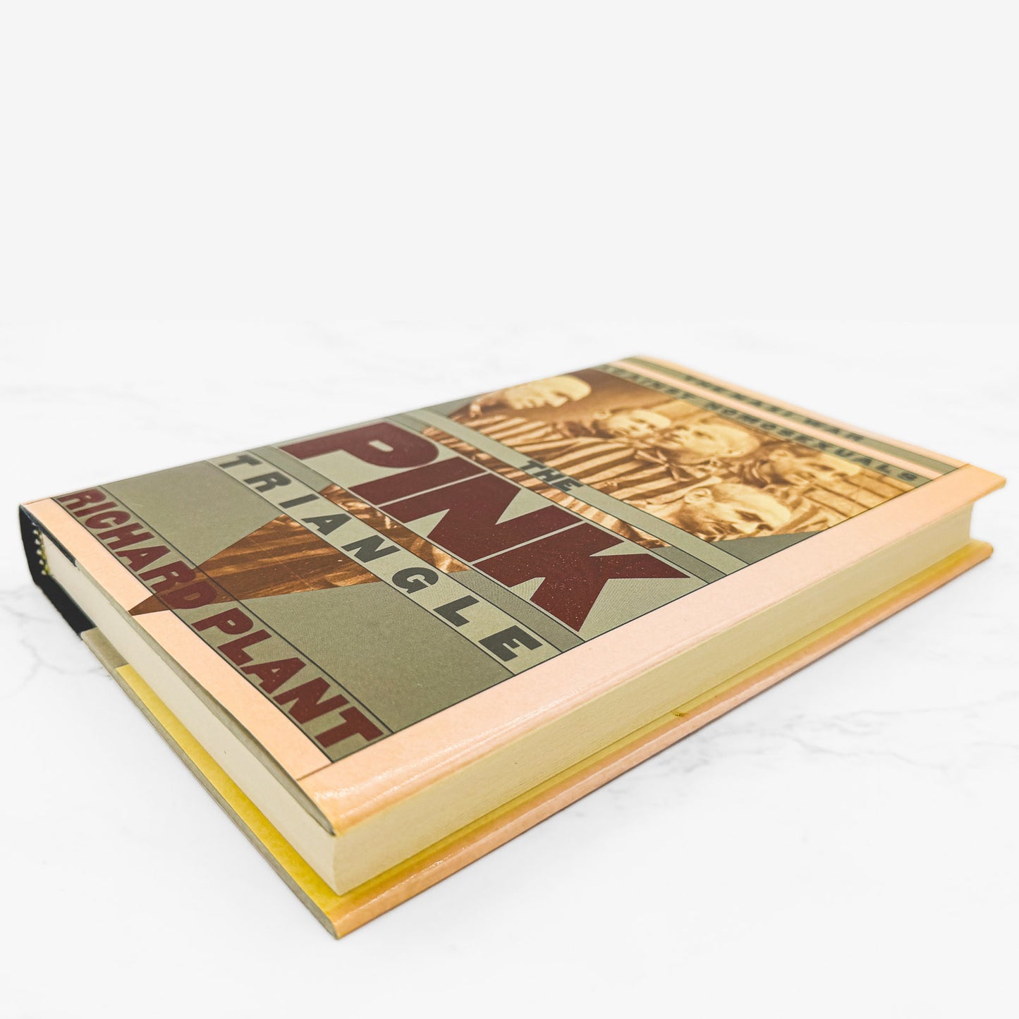 The Pink Triangle: The Nazi War Against Homosexuals by Richard Plant [FIRST EDITION • FIRST PRINTING] 1986
