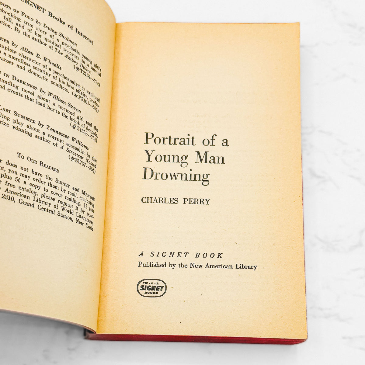 Portrait of a Young Man Drowning by Charles Perry [FIRST PAPERBACK PRINTING] 1963 • Signet