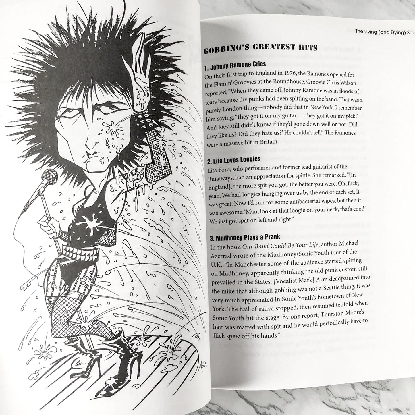 The Official Punk Rock Book of Lists by Amy Wallace & Dick Manitoba [FIRST EDITION] 2007 • Backbeat