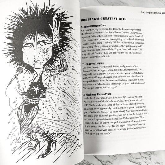 The Official Punk Rock Book of Lists by Amy Wallace & Dick Manitoba [FIRST EDITION] 2007 • Backbeat