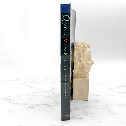 Queer View Mirror: Lesbian and Gay Short Short Fiction [FIRST EDITION PAPERBACK] 1995 • Arsenal Pump Press