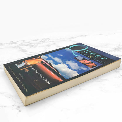 Queer View Mirror: Lesbian and Gay Short Short Fiction [FIRST EDITION PAPERBACK] 1995 • Arsenal Pump Press