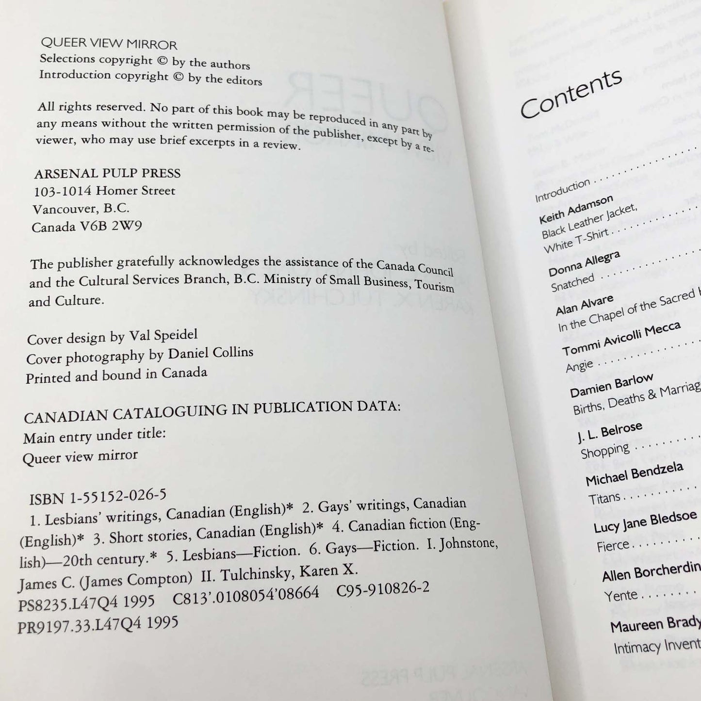 Queer View Mirror: Lesbian and Gay Short Short Fiction [FIRST EDITION PAPERBACK] 1995 • Arsenal Pump Press