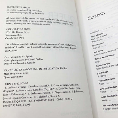 Queer View Mirror: Lesbian and Gay Short Short Fiction [FIRST EDITION PAPERBACK] 1995 • Arsenal Pump Press