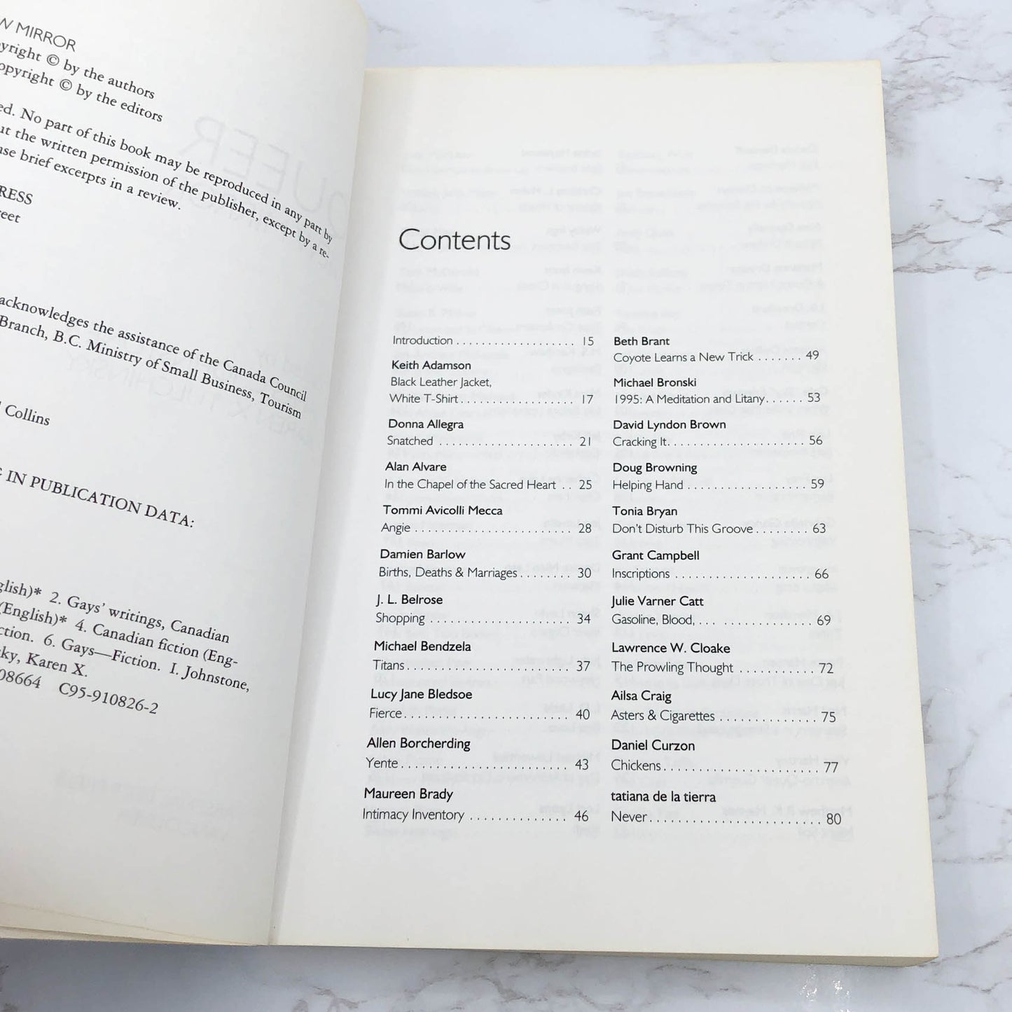 Queer View Mirror: Lesbian and Gay Short Short Fiction [FIRST EDITION PAPERBACK] 1995 • Arsenal Pump Press