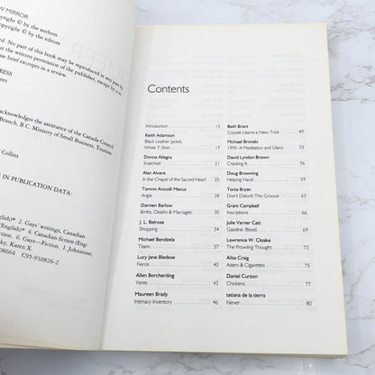 Queer View Mirror: Lesbian and Gay Short Short Fiction [FIRST EDITION PAPERBACK] 1995 • Arsenal Pump Press