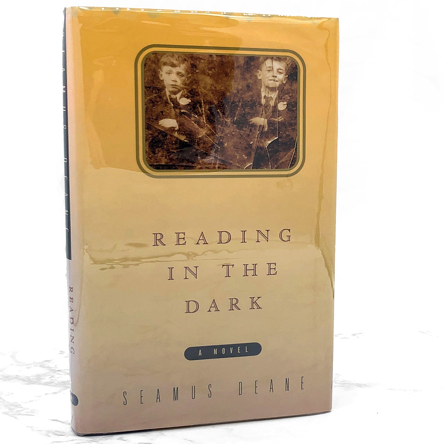Reading in the Dark by Seamus Deane [U.S. FIRST EDITION] 1997 • Knopf