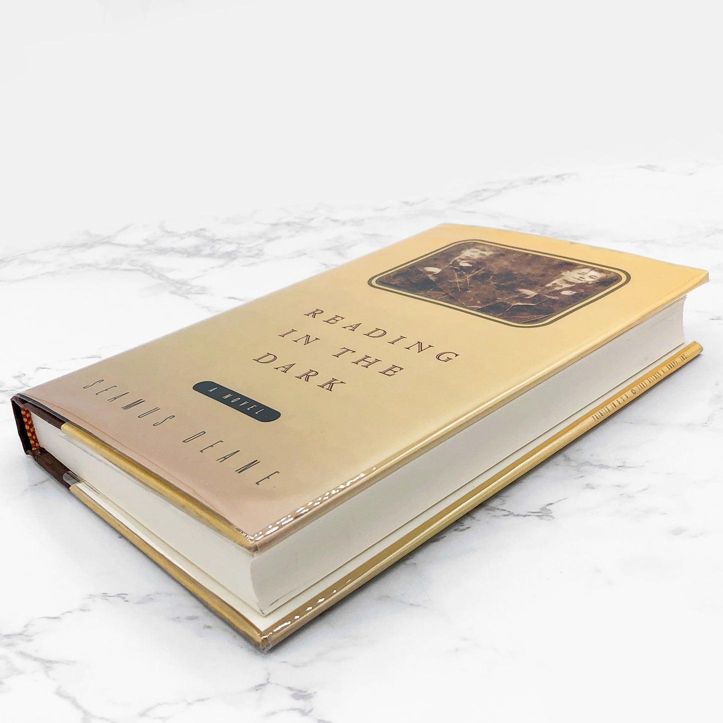 Reading in the Dark by Seamus Deane [U.S. FIRST EDITION] 1997 • Knopf