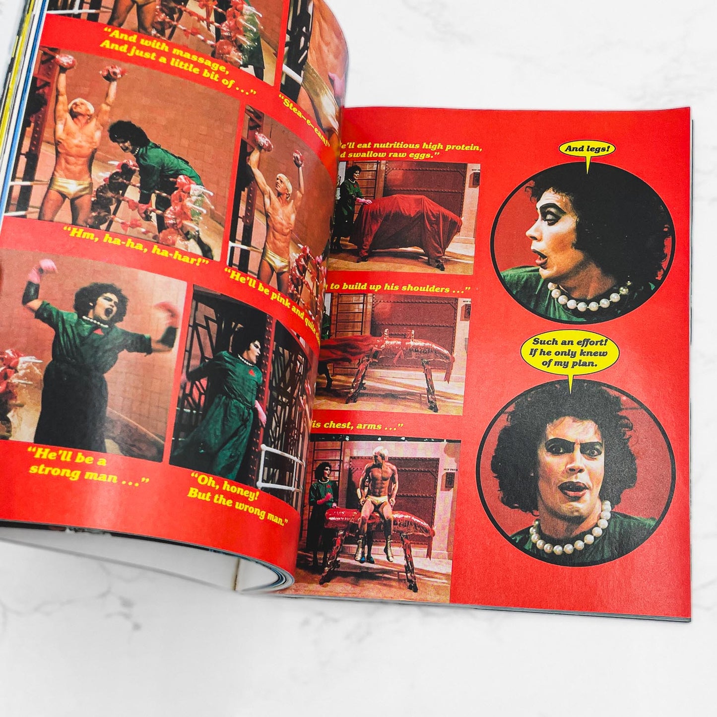 The Official Rocky Horror Picture Show Movie Novel by Richard J. Anobile [FIRST EDITION PAPERBACK] 1980 • A&W