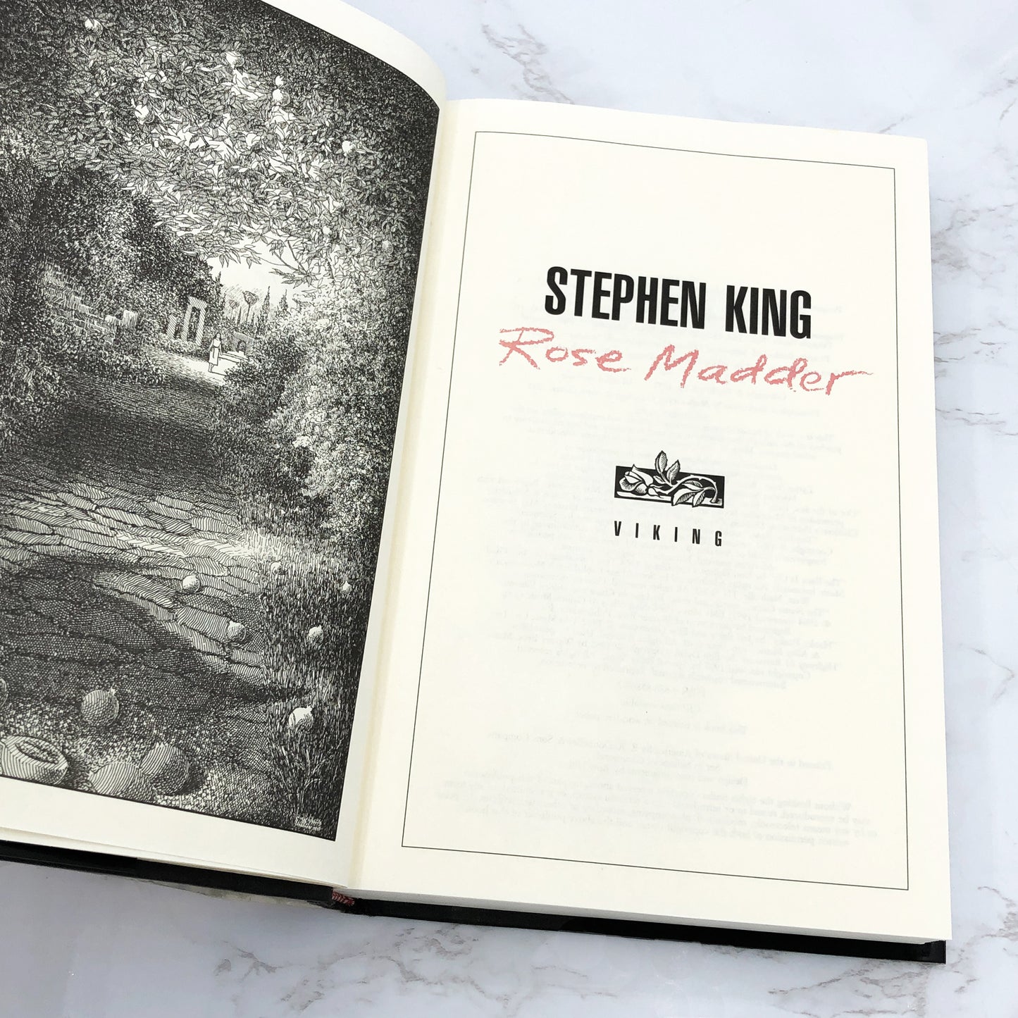 Rose Madder by Stephen King [1995 HARDCOVER] • BCE • Viking