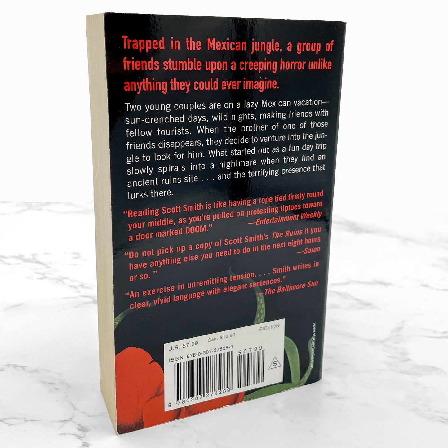 The Ruins by Scott Smith [FIRST PAPERBACK PRINTING] 2007 • Vintage Books.