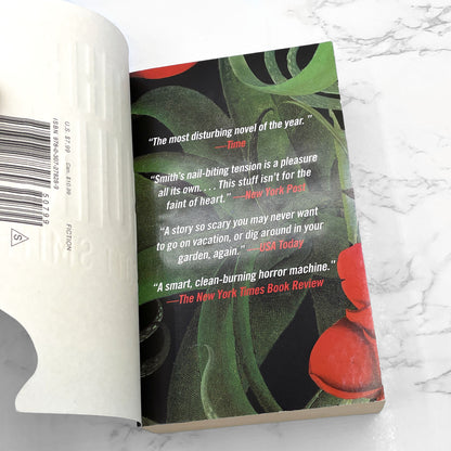 The Ruins by Scott Smith [FIRST PAPERBACK PRINTING] 2007 • Vintage Books.