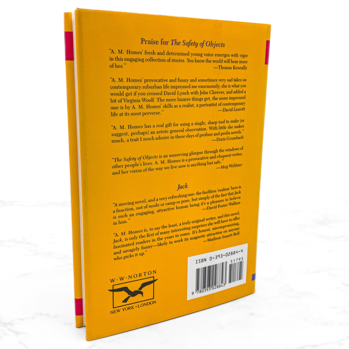 The Safety of Objects by A.M. Homes SIGNED! [FIRST EDITION • FIRST PRINTING] 1991 • W.W. Norton