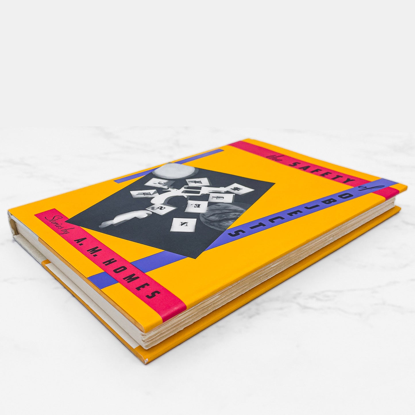 The Safety of Objects by A.M. Homes SIGNED! [FIRST EDITION • FIRST PRINTING] 1991 • W.W. Norton