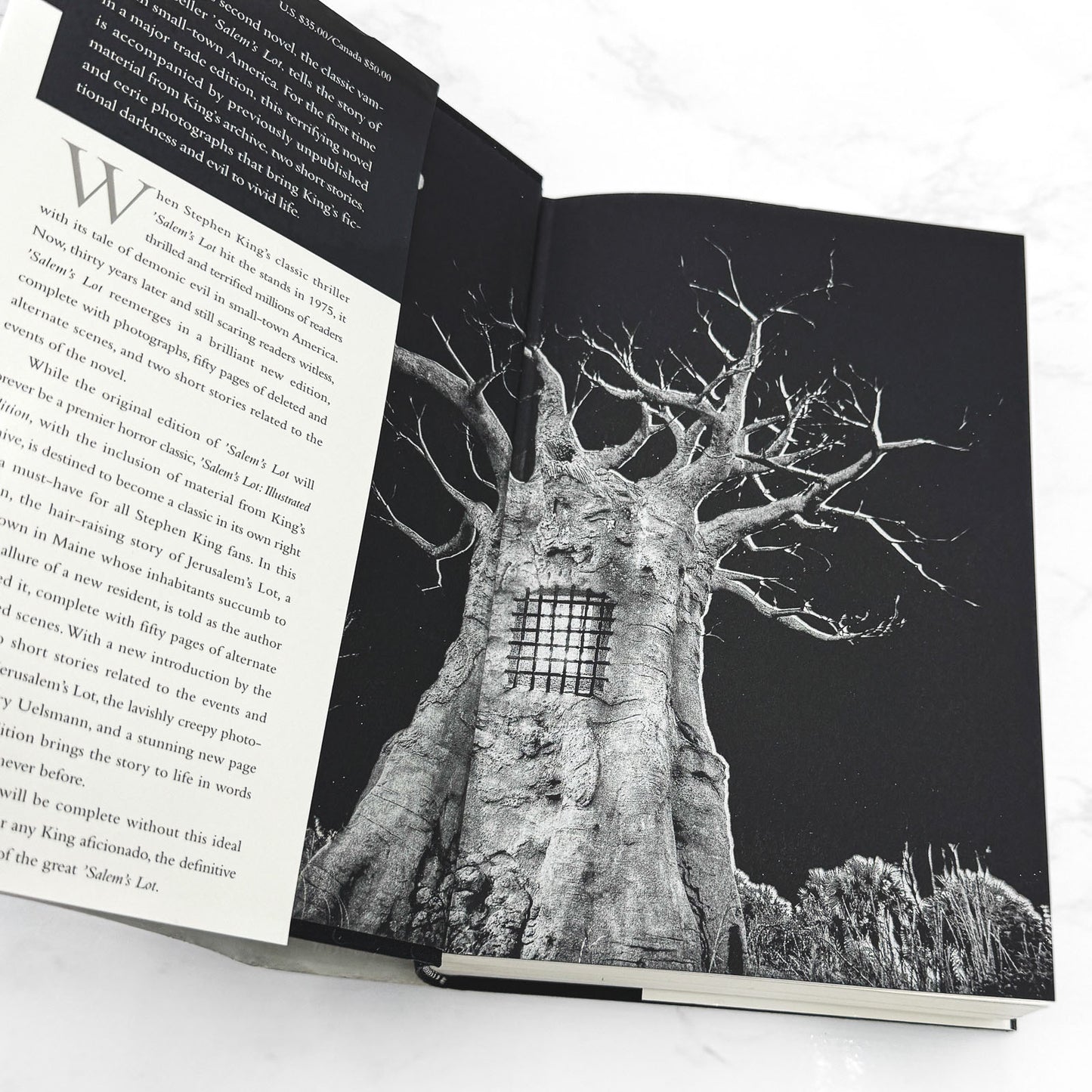Salem's Lot by Stephen King [FIRST ILLUSTRATED EDITION] 2005 • 1st Printing! • Doubleday