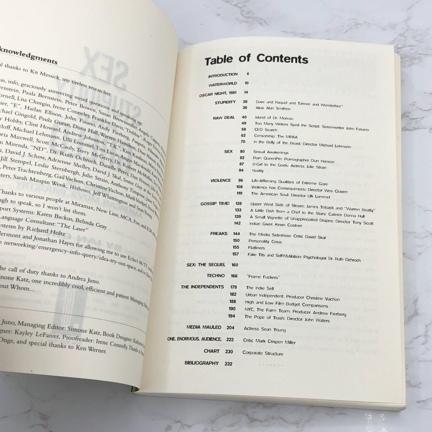 Sex, Stupidity and Greed: Inside the American Movie Industry by Ian Grey [FIRST EDITION PAPERBACK] 1997