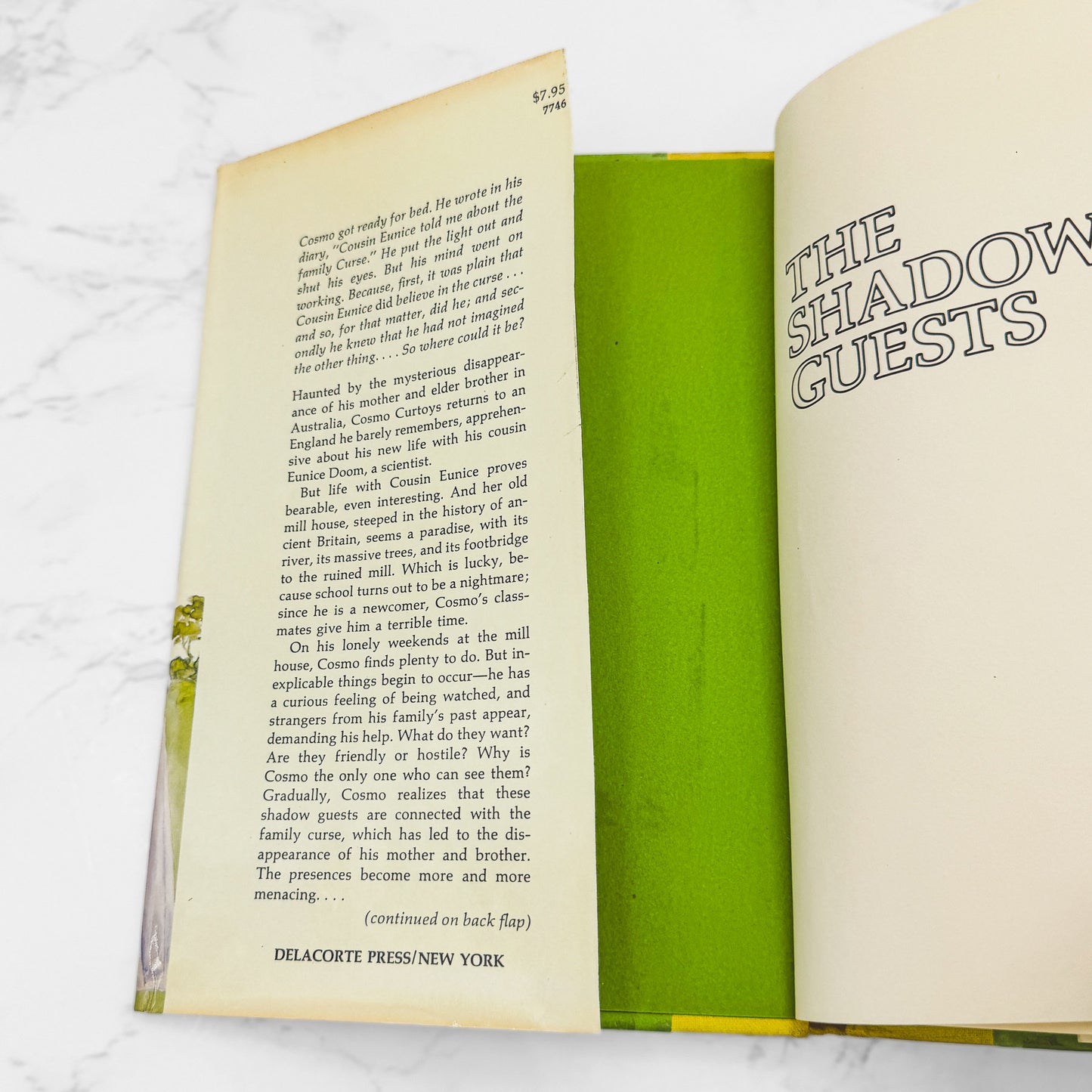 The Shadow Guests by Joan Aiken [U.S. FIRST EDITION • FIRST PRINTING] 1980 • Delacorte *Condition