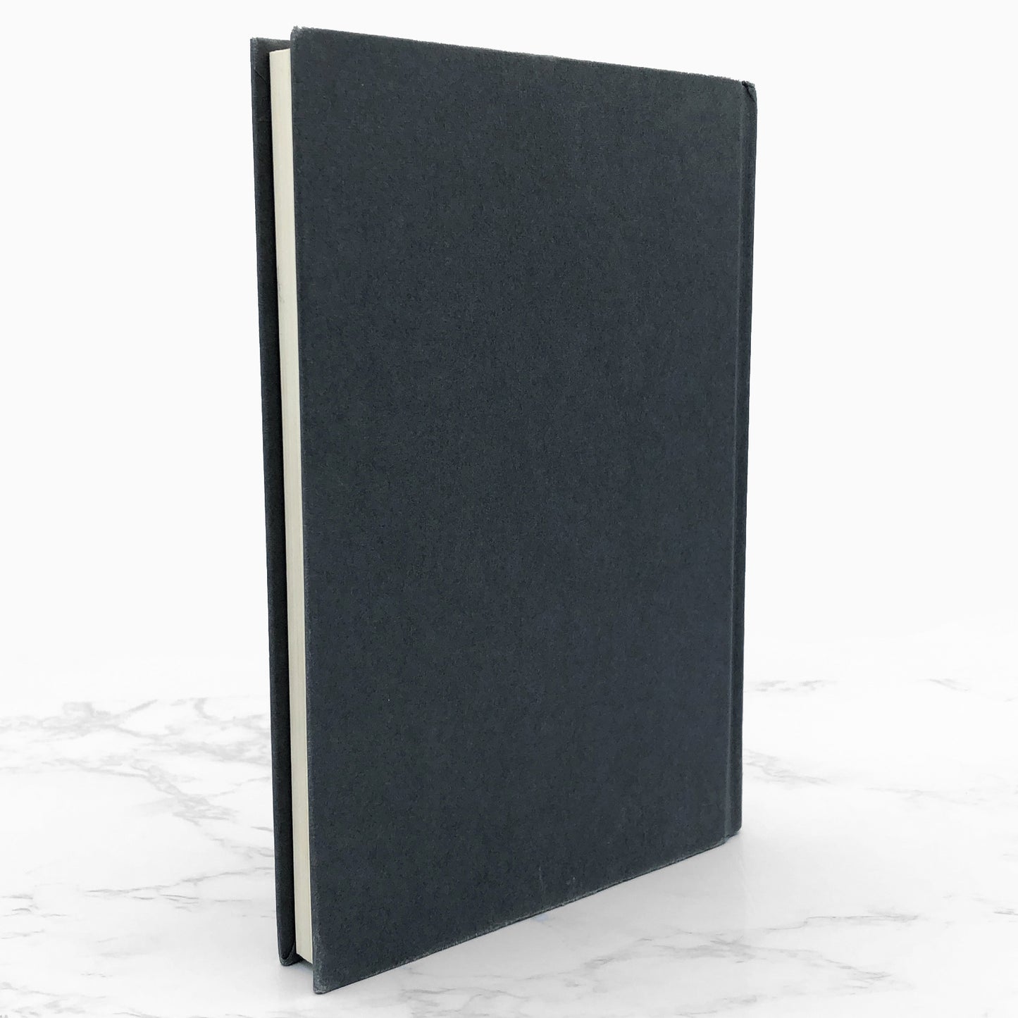 The Silent Boy by Lois Lowry [FIRST EDITION • FIRST PRINTING] 2003 • Houghton Mifflin