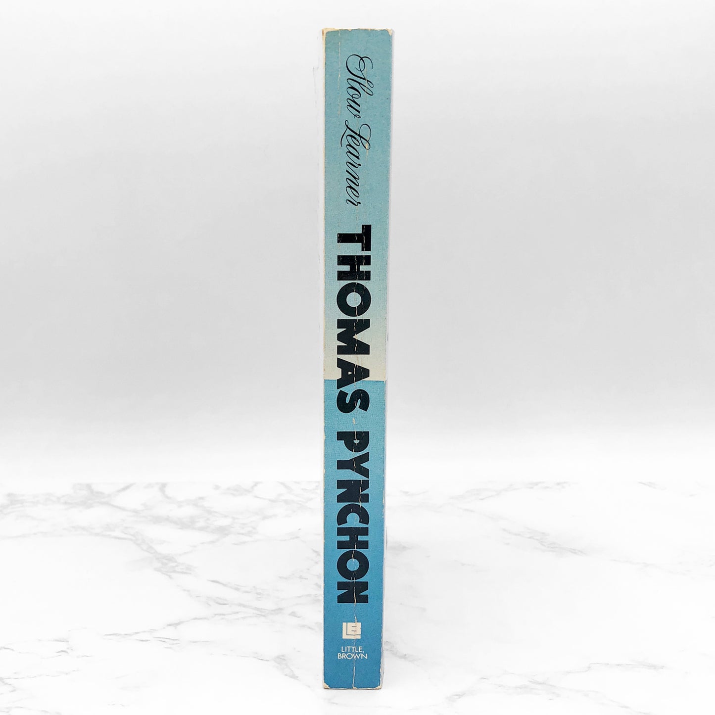 Slow Learner: Early Stories by Thomas Pynchon [FIRST EDITION • FIRST PRINTING] 1984 • Little Brown & Co