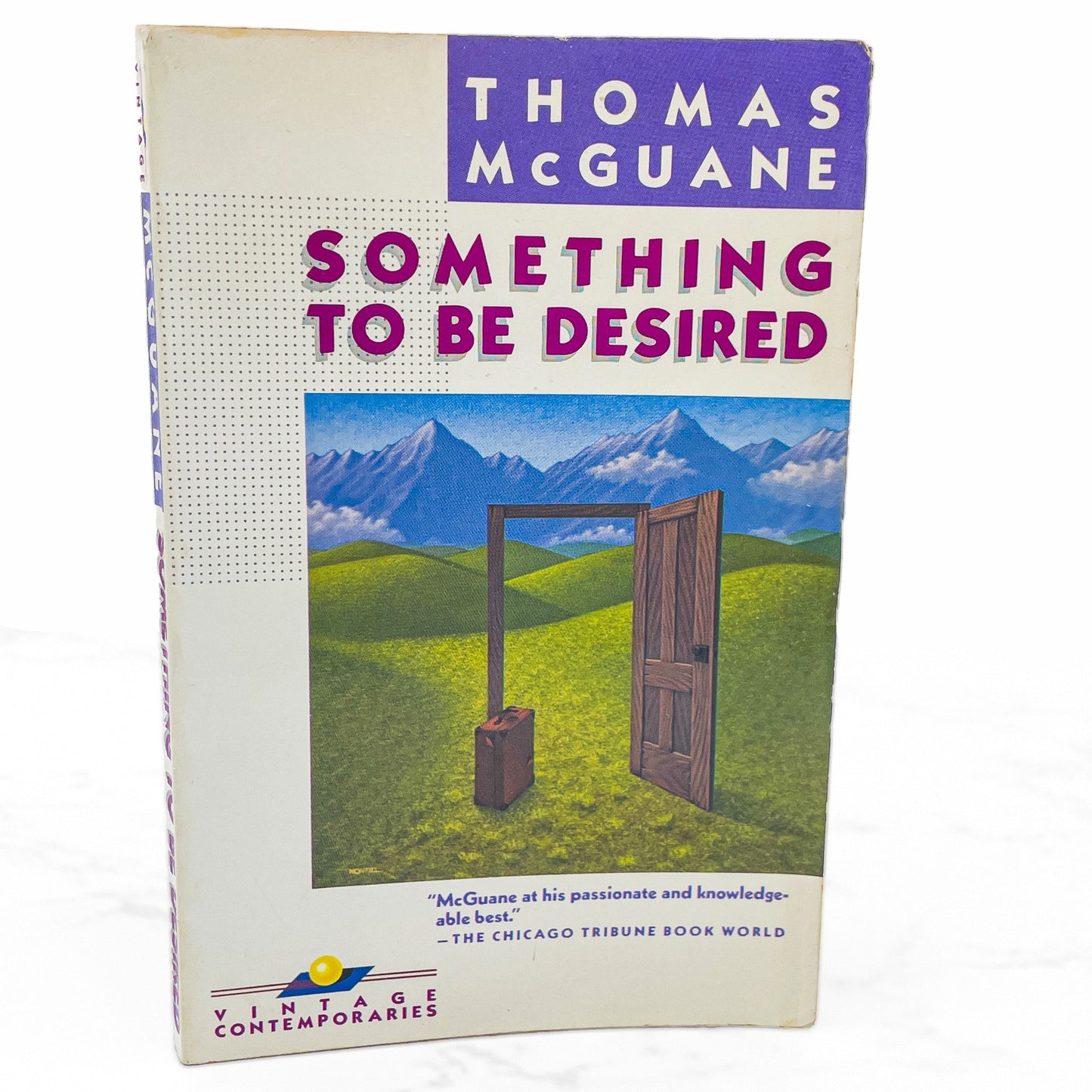 Something to Be Desired by Thomas McGuane [FIRST PAPERBACK PRINTING] 1985 • Vintage Contemporaries