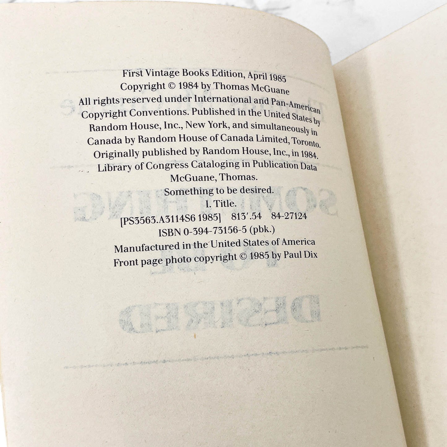 Something to Be Desired by Thomas McGuane [FIRST PAPERBACK PRINTING] 1985 • Vintage Contemporaries