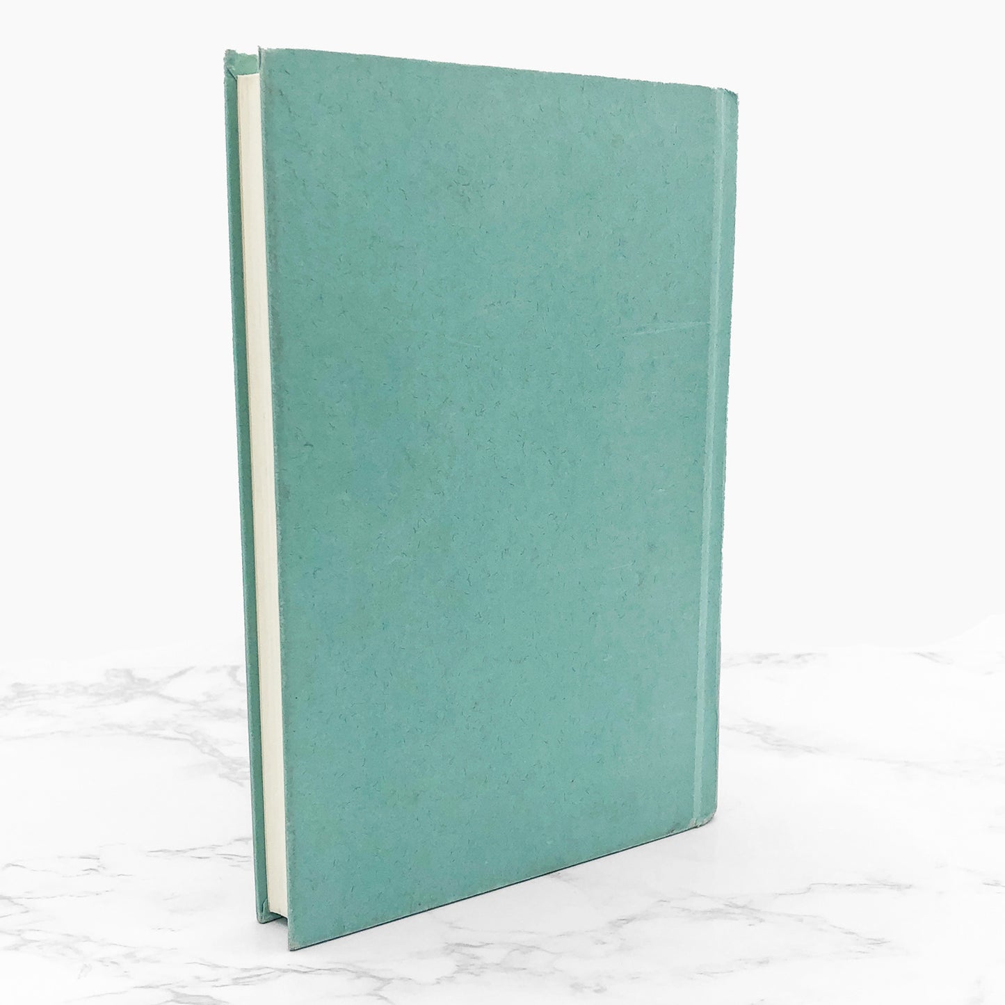 Speak by Laurie Halse Anderson [FIRST EDITION] 1999 • FSG