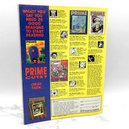 STICKBOY Issues #1-4 by Dennis Worden [FIRST EDITION SET] 1988-1990 • Fantagraphics Books