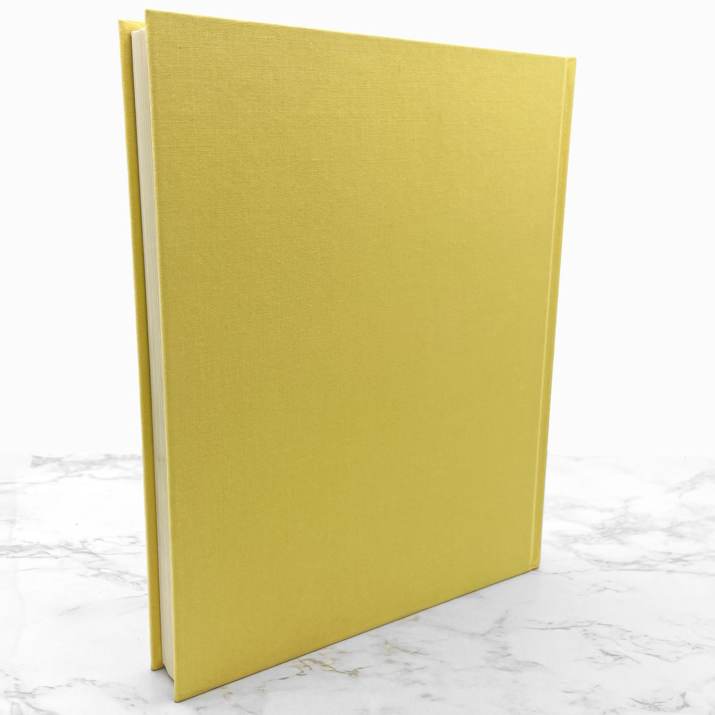 Folktales of the Amur: Stories from the Russian Far East by Dmitri Nagishkin [U.S. FIRST EDITION] 1980 • Harry N. Abrams