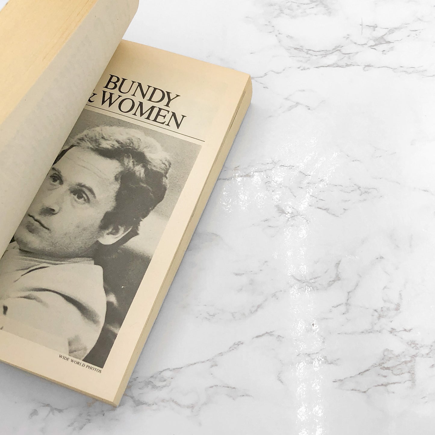 Ted Bundy: The Killer Next Door by Steven Winn & David Merrill [FIRST EDITION PAPERBACK] 1980 • Bantam True Crime