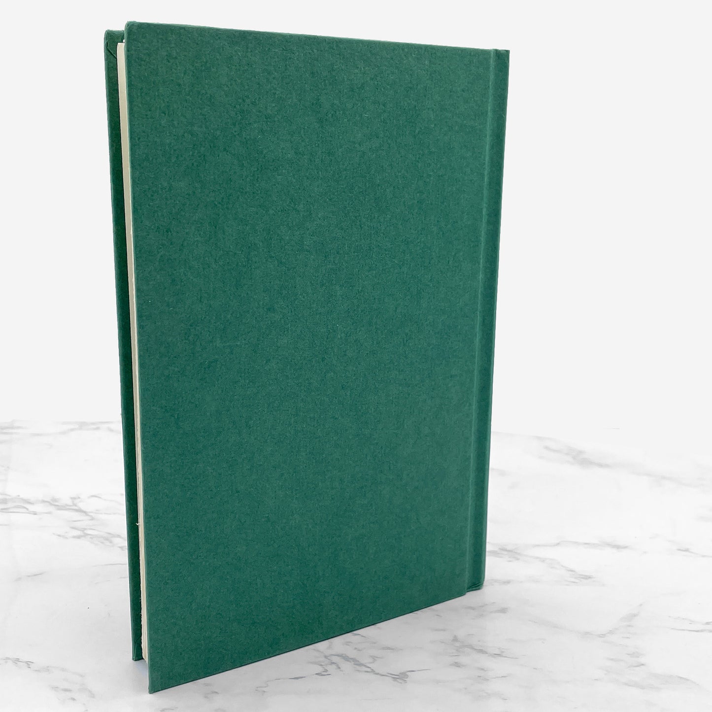 Terrible Times by Philip Ardagh & David Roberts [FIRST EDITION] 2002 • Eddie Dickens #3