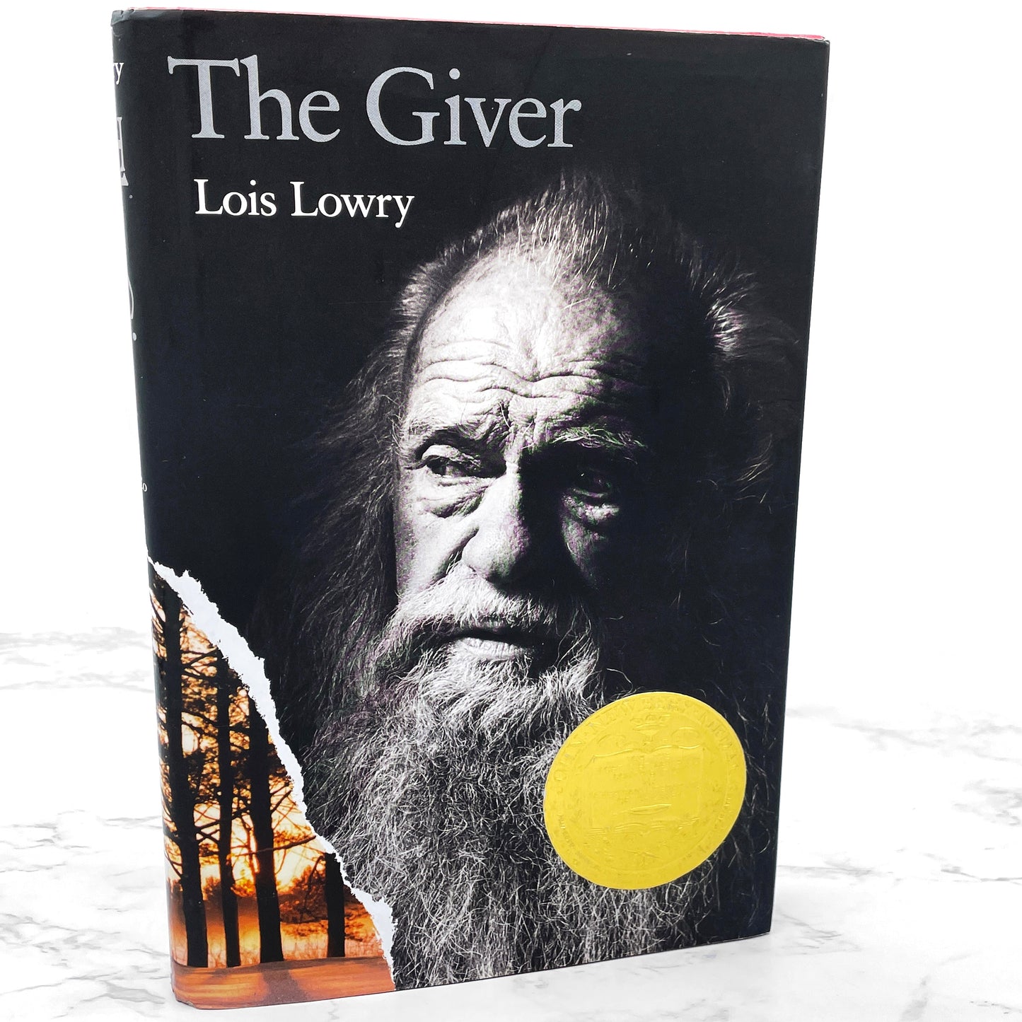 The Giver by Lois Lowry [FIRST EDITION] 1993 • Houghton Mifflin