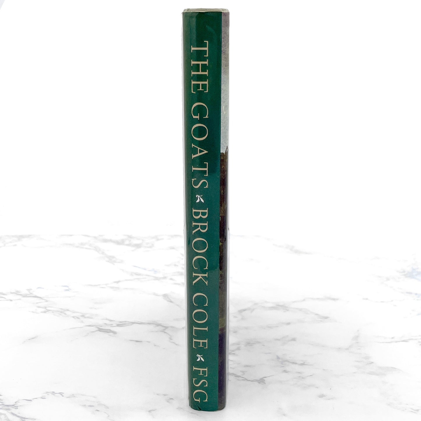 The Goats by Brock Cole [FIRST EDITION] 1987 • 8th Print • Farrar Straus Giroux
