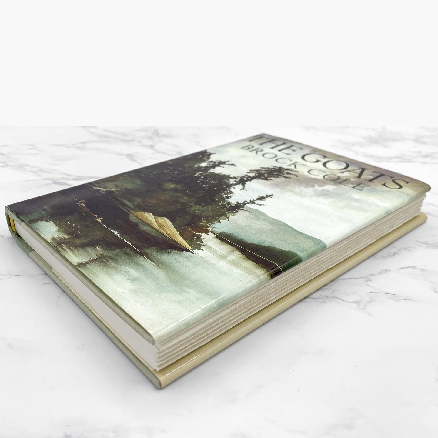 The Goats by Brock Cole [FIRST EDITION] 1987 • 8th Print • Farrar Straus Giroux