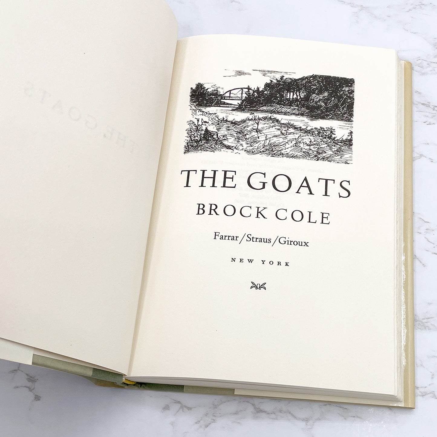 The Goats by Brock Cole [FIRST EDITION] 1987 • 8th Print • Farrar Straus Giroux