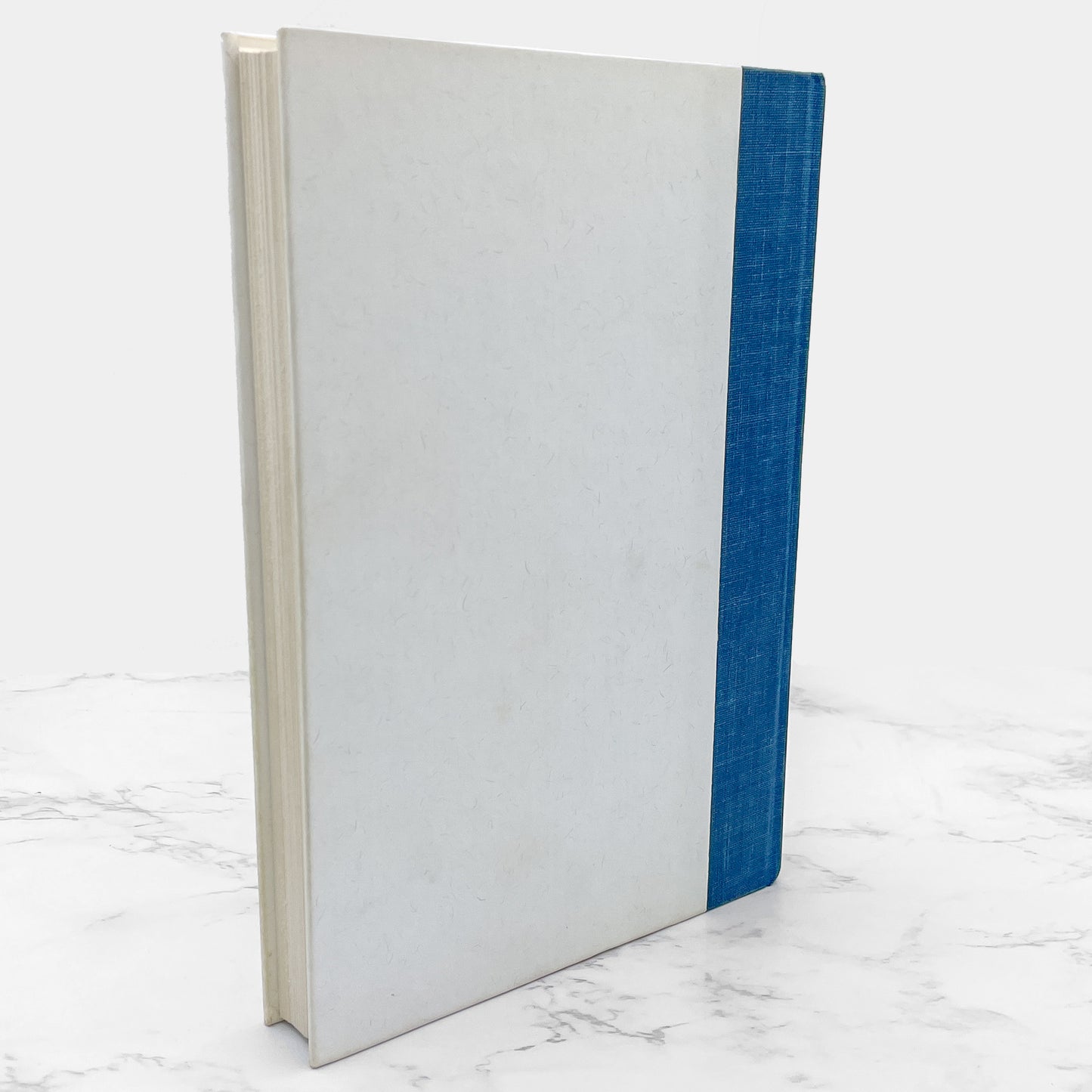 The Haunted: One Family's Nightmare by Robert Curran with Ed & Lorraine Warren [FIRST EDITION • FIRST PRINTING] 1988 • St. Martin's Press