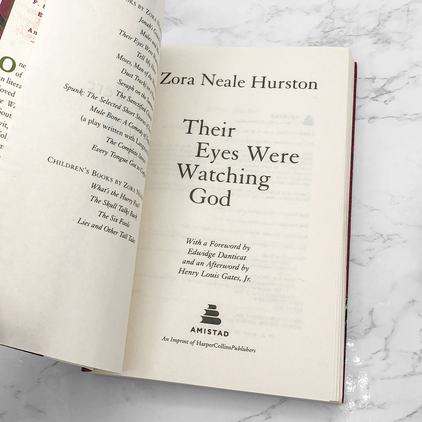 Their Eyes Were Watching God by Zora Neale Hurston [ANNIVERSARY TRADE PAPERBACK] 2006 • Amistad