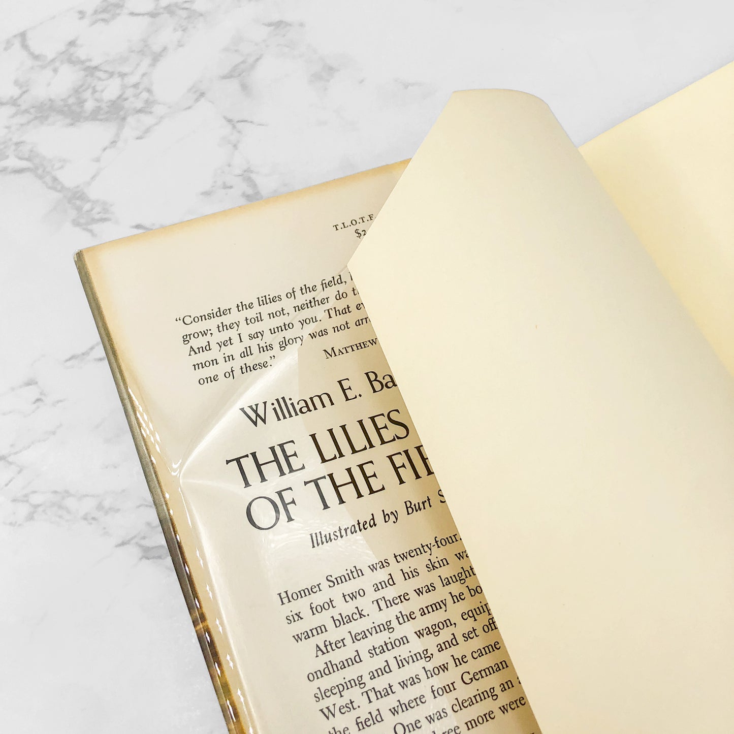 The Lilies of the Field by William E. Barrett [FIRST EDITION] 1962 • Doubleday & Company