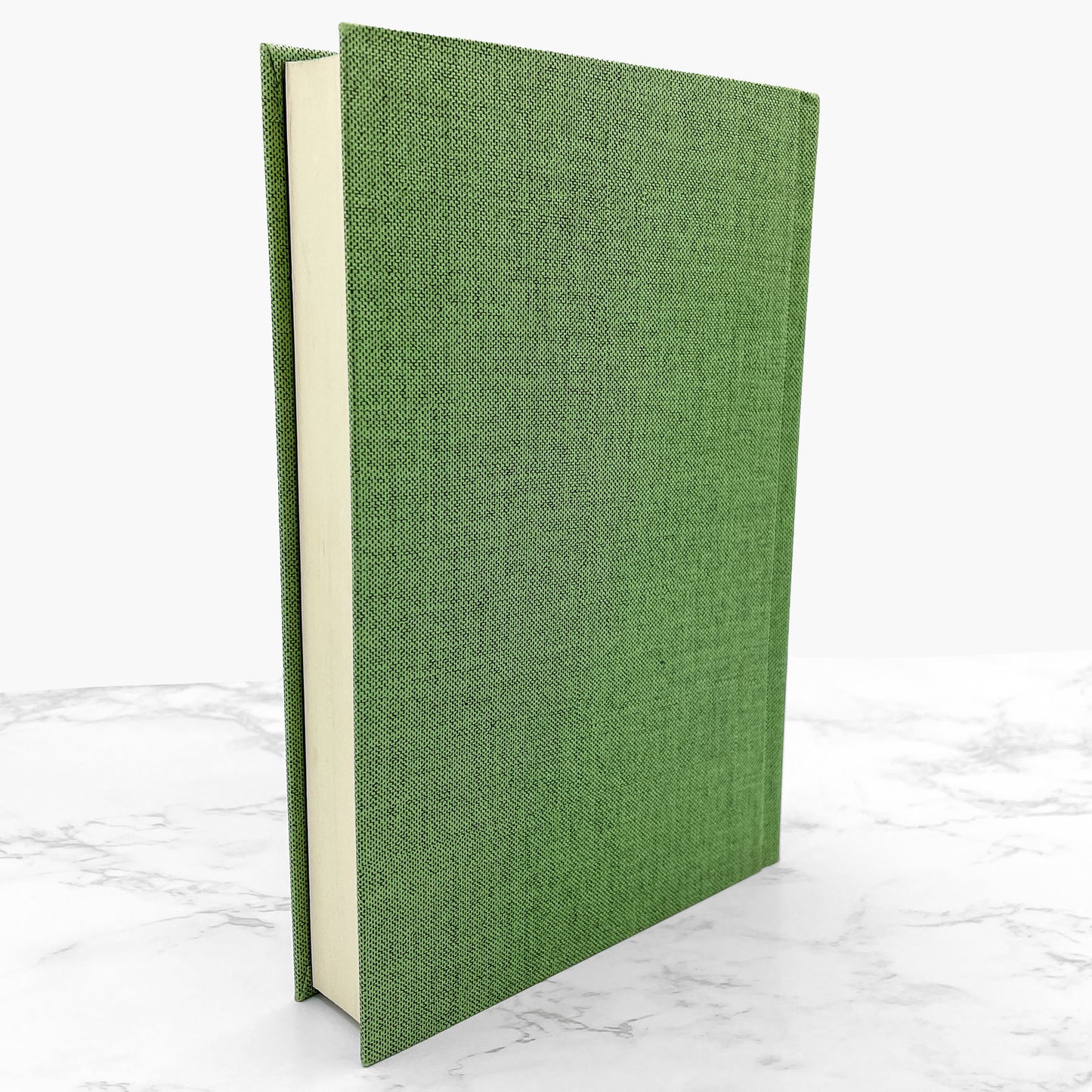 The Mummy by E.A. Wallis Budge [HARDCOVER RE-ISSUE] 1974 • Causeway Books • Facsimile of the Second Edition