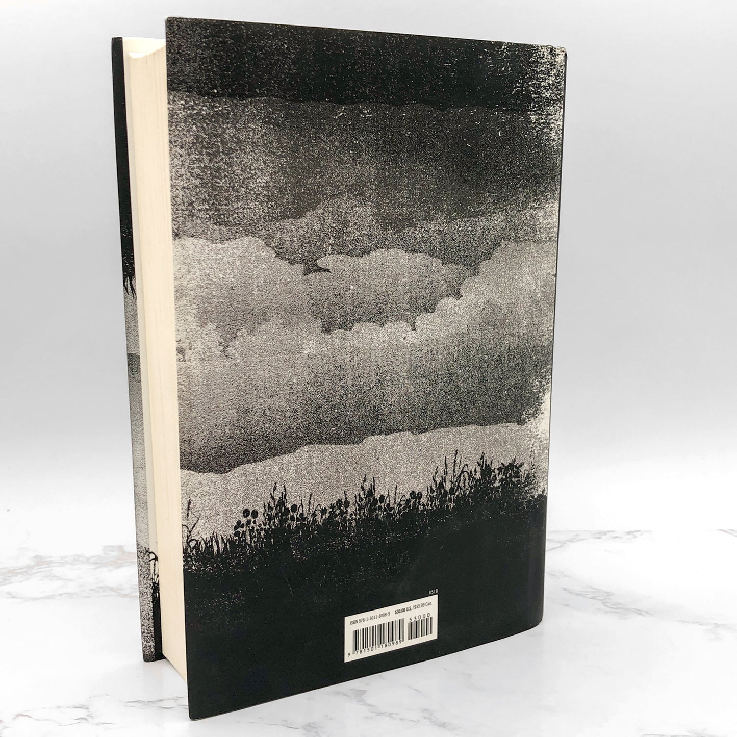 The Outsider by Stephen King [FIRST EDITION • FIRST PRINTING] 2018 • Scribner