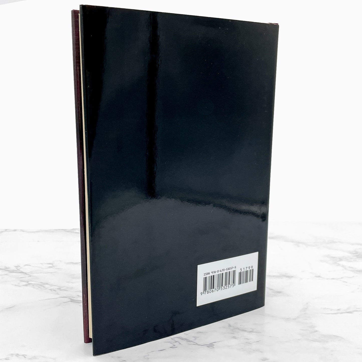 The Outsiders by S.E. Hinton [HARDCOVER RE-PRINT] 1997 • 60th Printing • Viking • Mint!