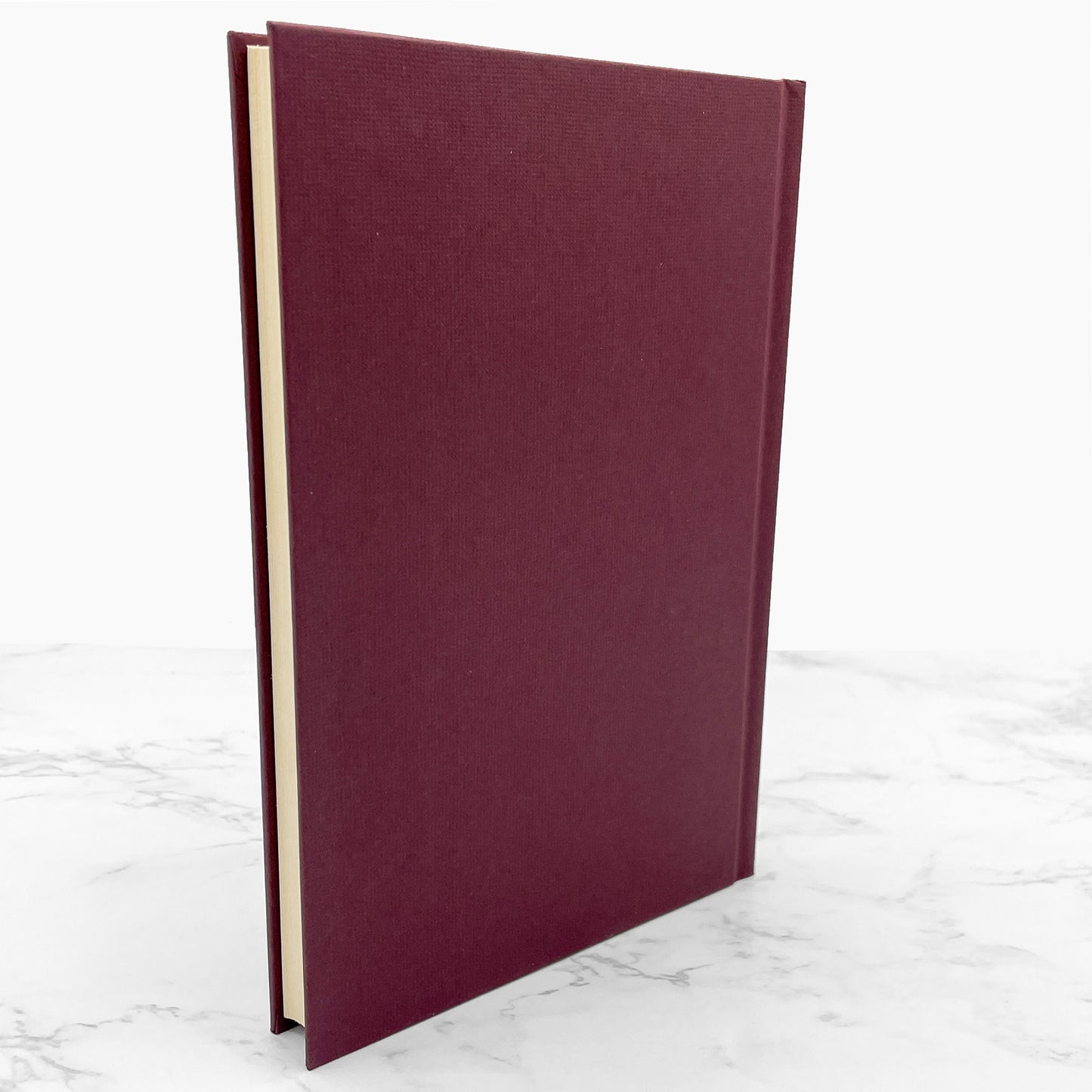 The Outsiders by S.E. Hinton [HARDCOVER RE-PRINT] 1997 • 60th Printing • Viking • Mint!