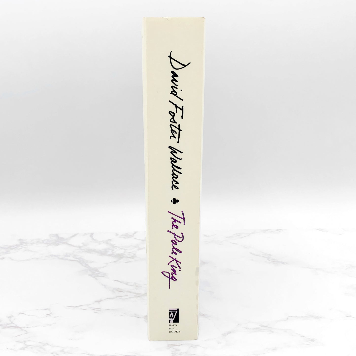 The Pale King by David Foster Wallace [FIRST PAPERBACK EDITION] 2012 • Back Bay Books