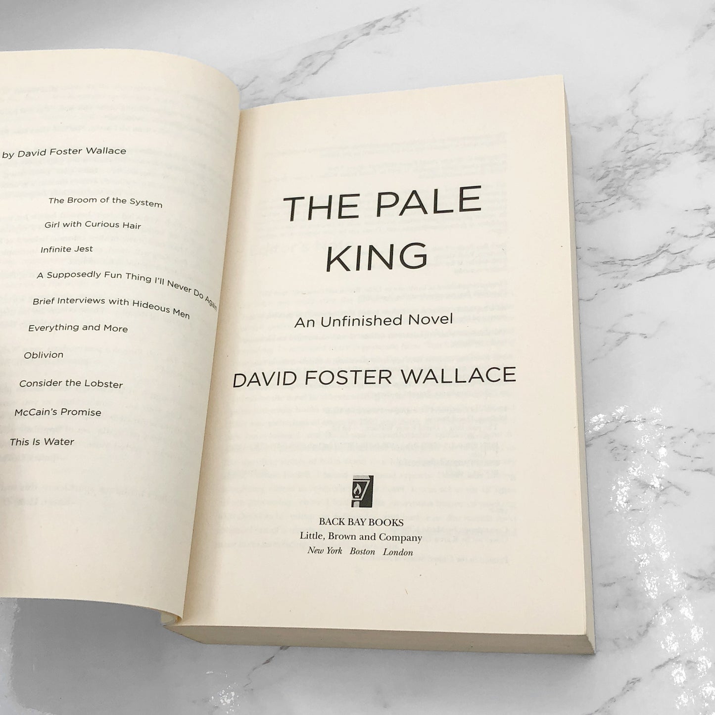 The Pale King by David Foster Wallace [FIRST PAPERBACK EDITION] 2012 • Back Bay Books