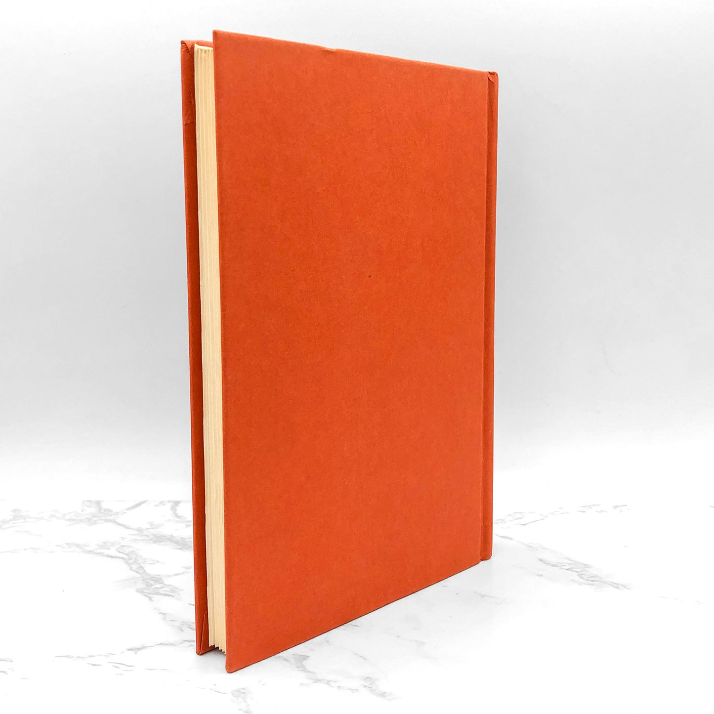 The Visitors by Clifford D. Simak [1980 HARDCOVER] • Del-Rey