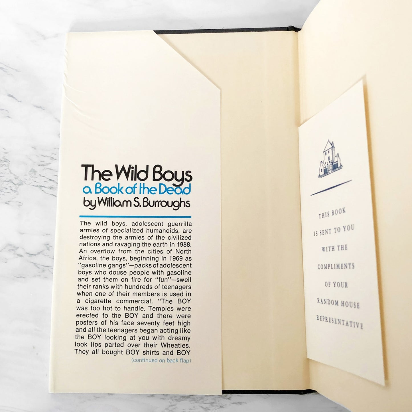 The Wild Boys: A Book of the Dead by William S. Burroughs [FIRST EDITION] 1971 • The Grove Presss