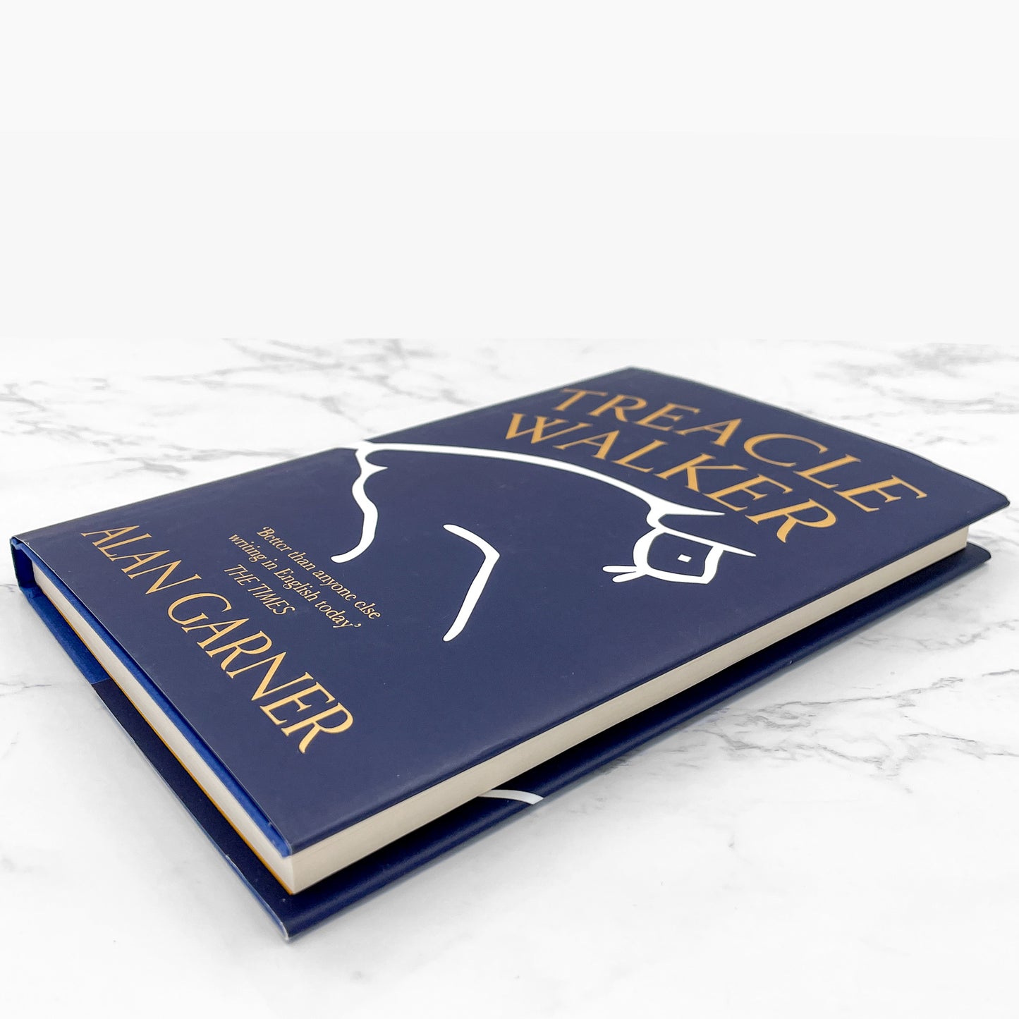 Treacle Walker by Alan Garner [U.K. FIRST EDITION] 2021 • 4th Estate