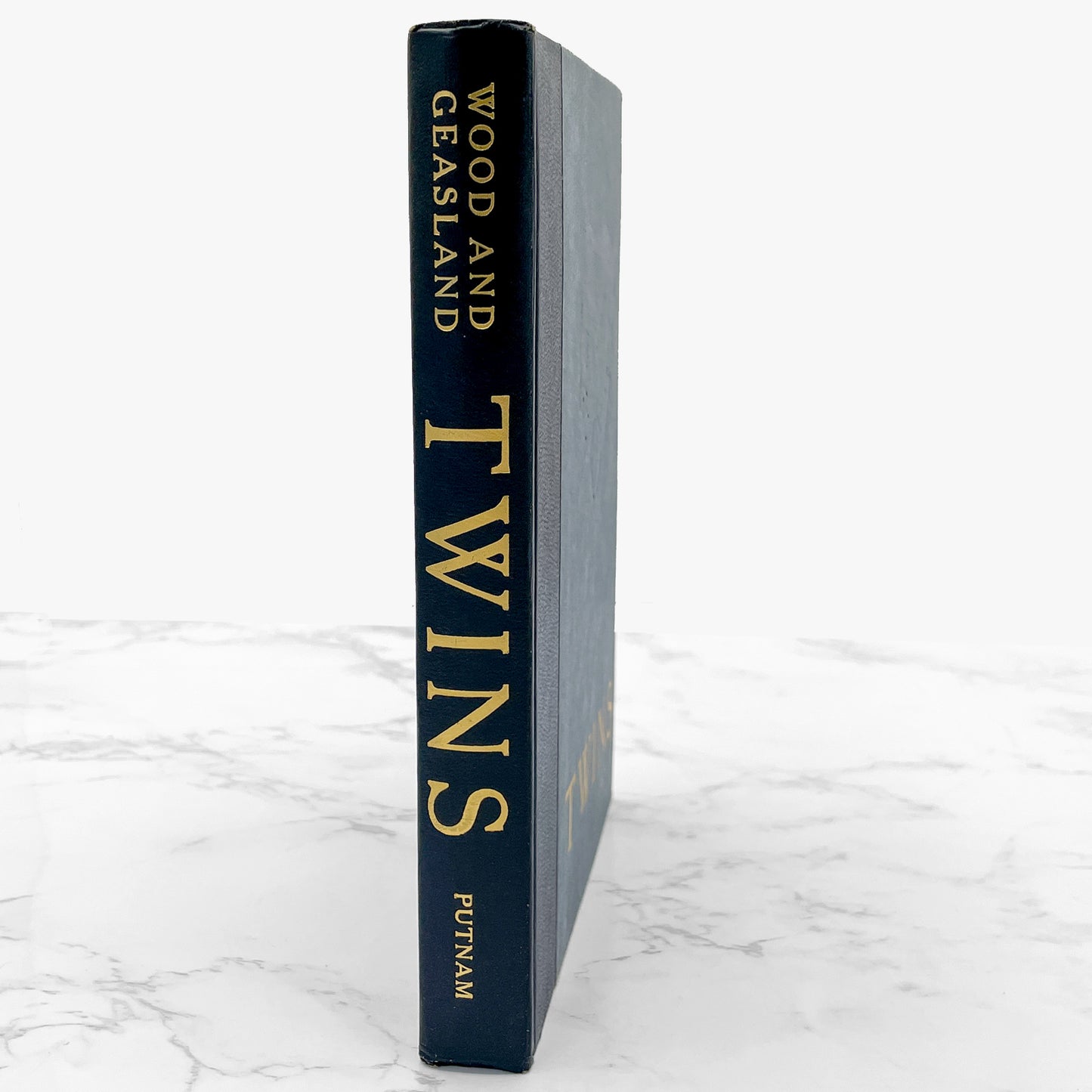 Twins by Bari Wood & Jack Geasland [1977 HARDCOVER] • BCE • G.P. Putnam's Sons