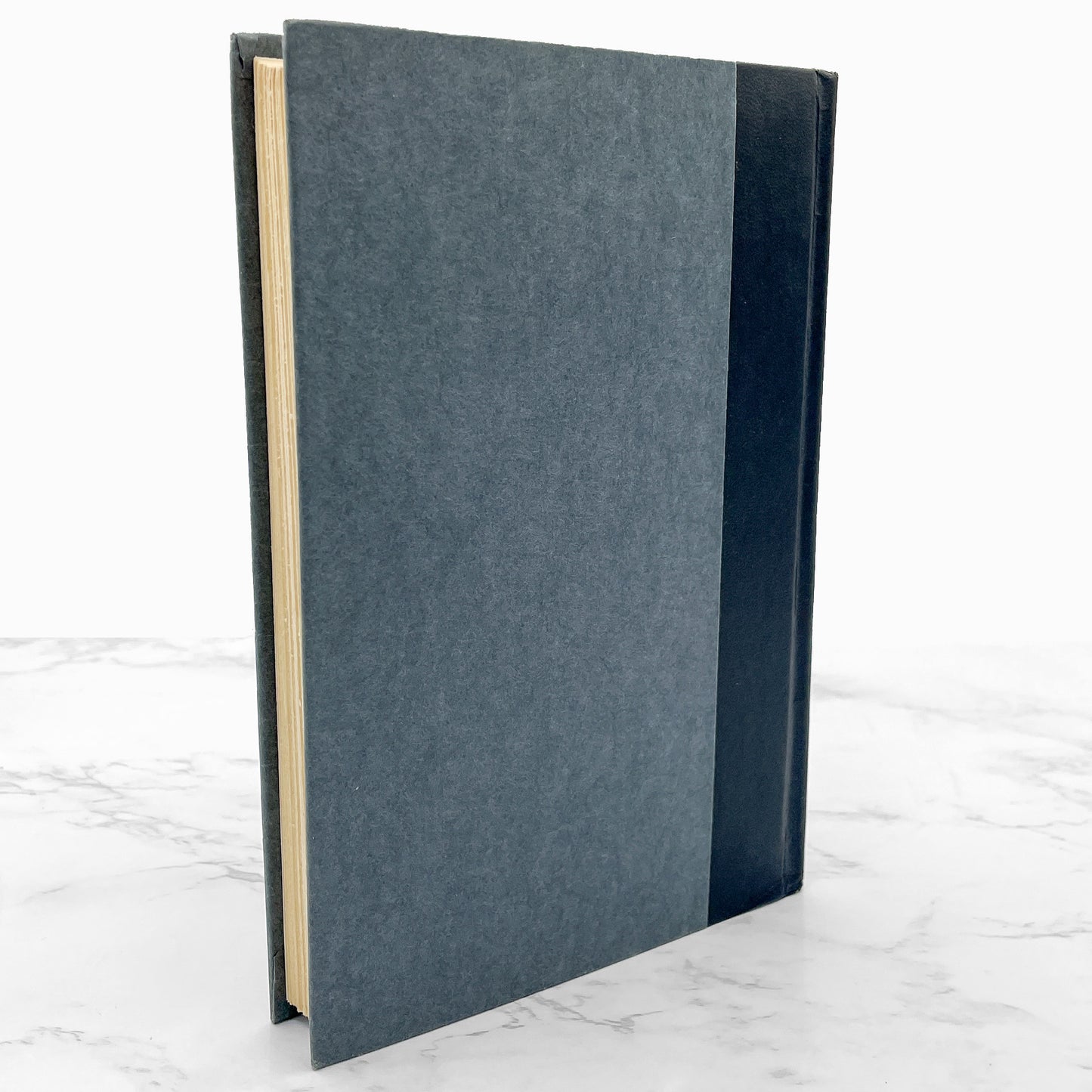 Twins by Bari Wood & Jack Geasland [1977 HARDCOVER] • BCE • G.P. Putnam's Sons